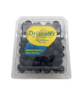 Blueberry Imported 170gms