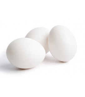 Chicken Egg Medium tray