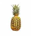Pineapple Premium Large